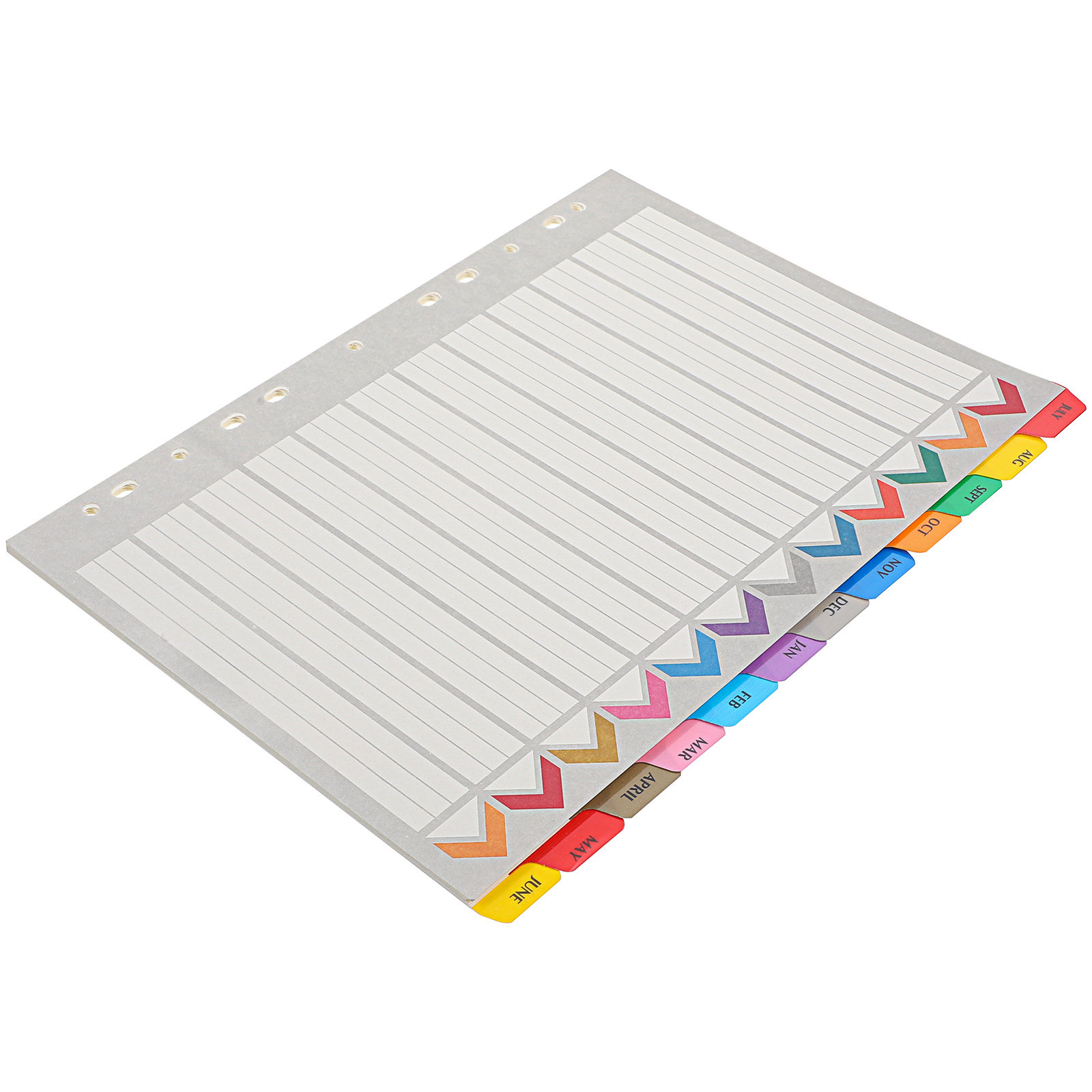 12 vellen binder-indelingsblad - Index Tab Divider recensie en prijs